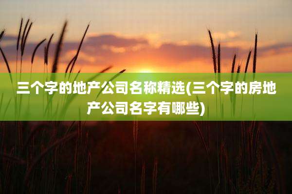 三个字的地产公司名称精选(三个字的房地产公司名字有哪些)