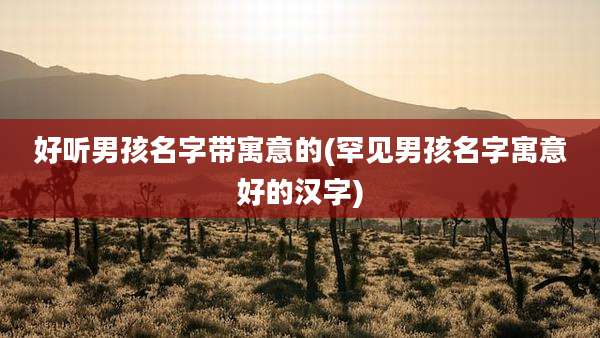 好听男孩名字带寓意的(罕见男孩名字寓意好的汉字)