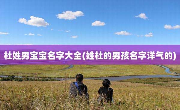 杜姓男宝宝名字大全(姓杜的男孩名字洋气的)