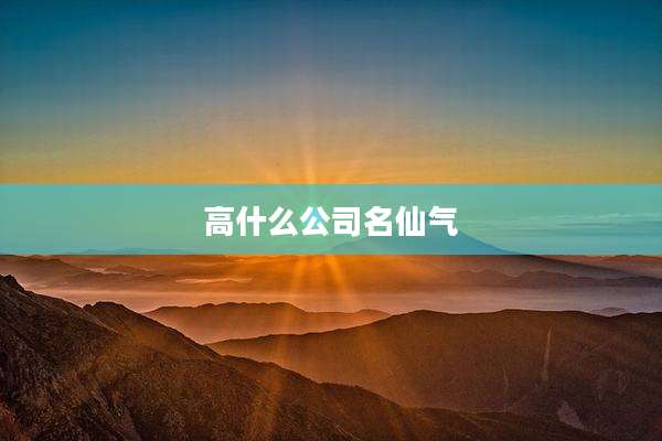 高什么公司名仙气