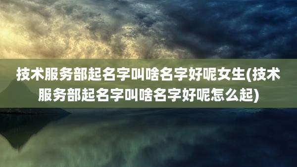 技术服务部起名字叫啥名字好呢女生(技术服务部起名字叫啥名字好呢怎么起)