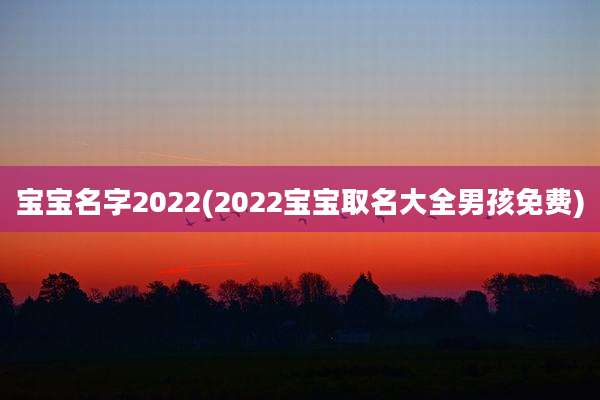 宝宝名字2022(2022宝宝取名大全男孩免费)