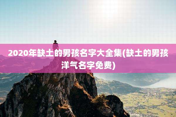 2020年缺土的男孩名字大全集(缺土的男孩洋气名字免费)