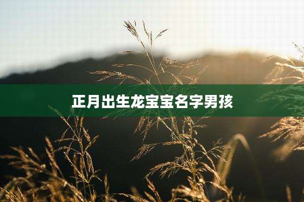 正月出生龙宝宝名字男孩