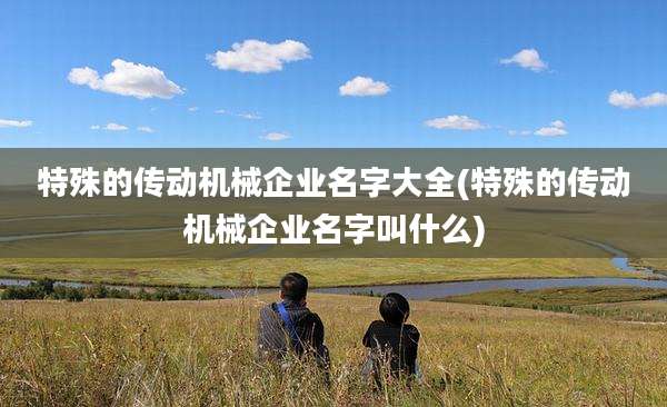 特殊的传动机械企业名字大全(特殊的传动机械企业名字叫什么)