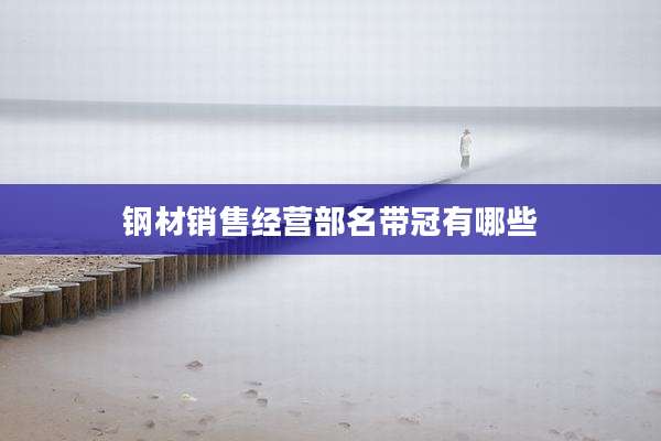 钢材销售经营部名带冠有哪些