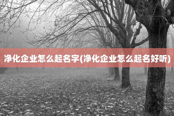 净化企业怎么起名字(净化企业怎么起名好听)