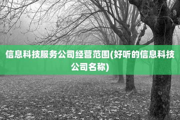 信息科技服务公司经营范围(好听的信息科技公司名称)