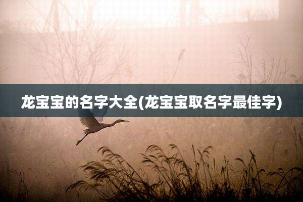 龙宝宝的名字大全(龙宝宝取名字最佳字)