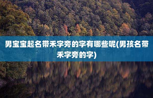男宝宝起名带禾字旁的字有哪些呢(男孩名带禾字旁的字)