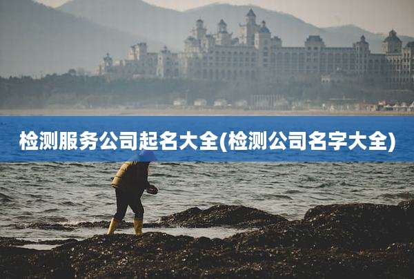 检测服务公司起名大全(检测公司名字大全)