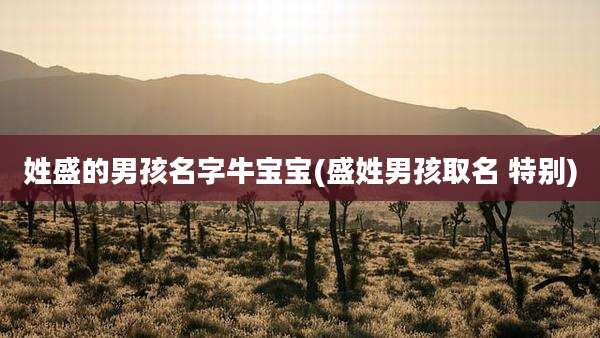 姓盛的男孩名字牛宝宝(盛姓男孩取名 特别)