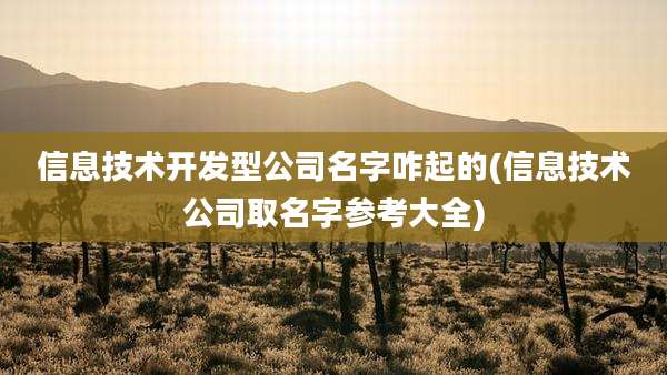 信息技术开发型公司名字咋起的(信息技术公司取名字参考大全)