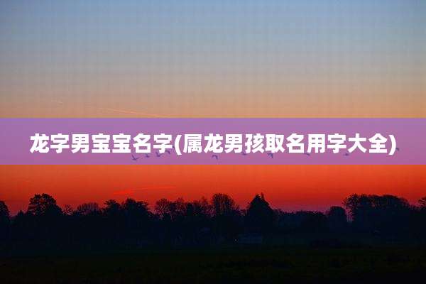 龙字男宝宝名字(属龙男孩取名用字大全)