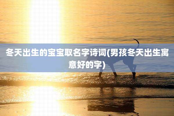 冬天出生的宝宝取名字诗词(男孩冬天出生寓意好的字)