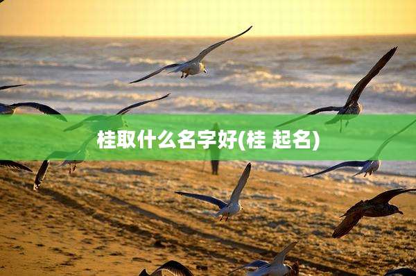 桂取什么名字好(桂 起名)