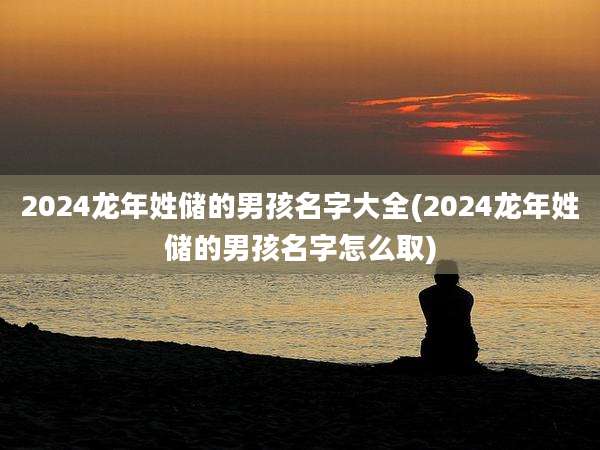 2024龙年姓储的男孩名字大全(2024龙年姓储的男孩名字怎么取)