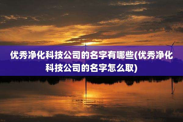 优秀净化科技公司的名字有哪些(优秀净化科技公司的名字怎么取)
