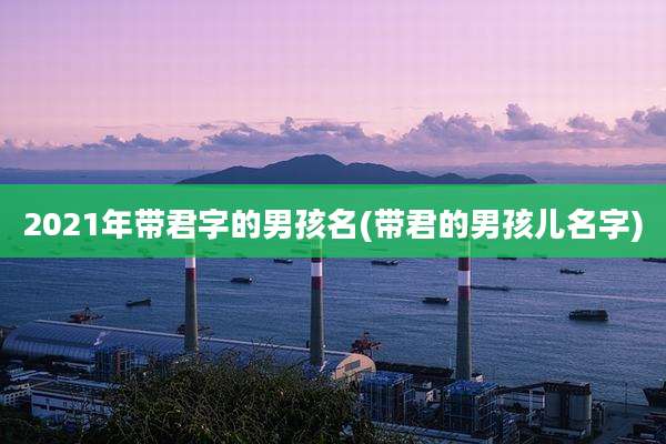 2021年带君字的男孩名(带君的男孩儿名字)