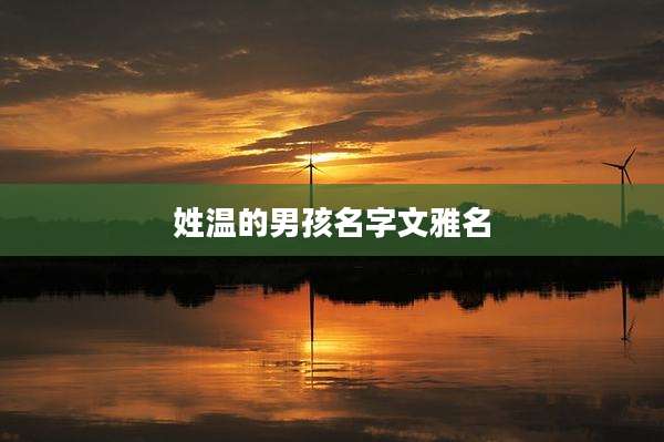 姓温的男孩名字文雅名