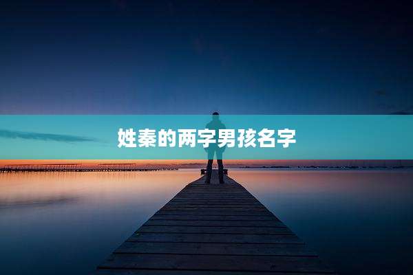 姓秦的两字男孩名字