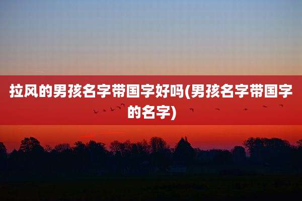 拉风的男孩名字带国字好吗(男孩名字带国字的名字)