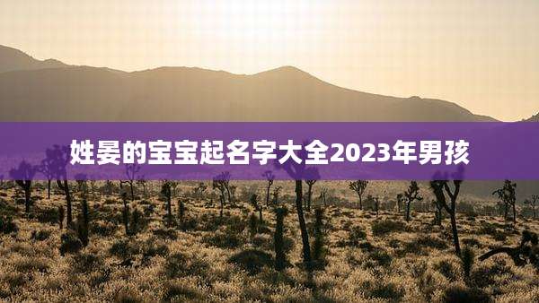 姓晏的宝宝起名字大全2023年男孩