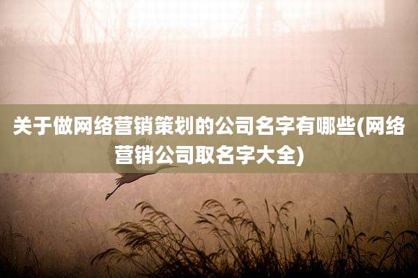 关于做网络营销策划的公司名字有哪些(网络营销公司取名字大全)