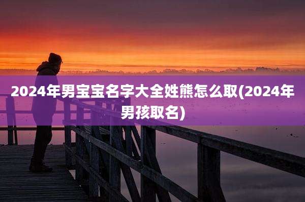 2024年男宝宝名字大全姓熊怎么取(2024年男孩取名)
