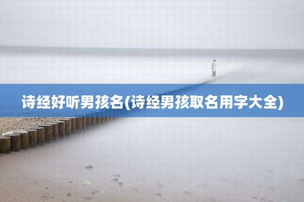 诗经好听男孩名(诗经男孩取名用字大全)