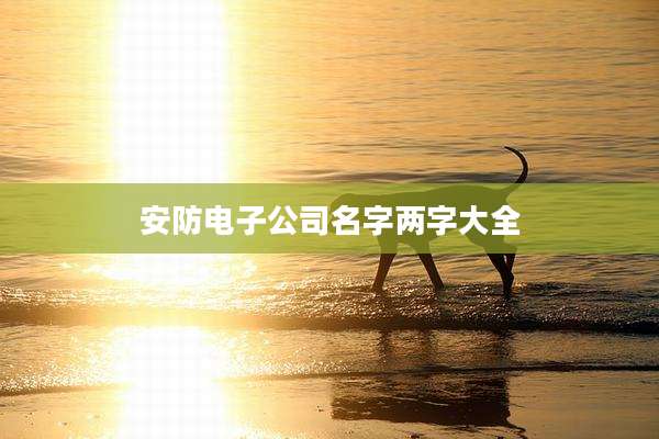 安防电子公司名字两字大全