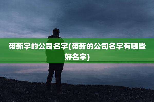 带新字的公司名字(带新的公司名字有哪些好名字)