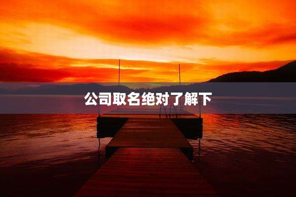公司取名绝对了解下