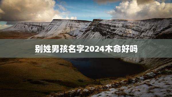 别姓男孩名字2024木命好吗
