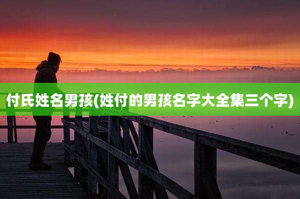 付氏姓名男孩(姓付的男孩名字大全集三个字)