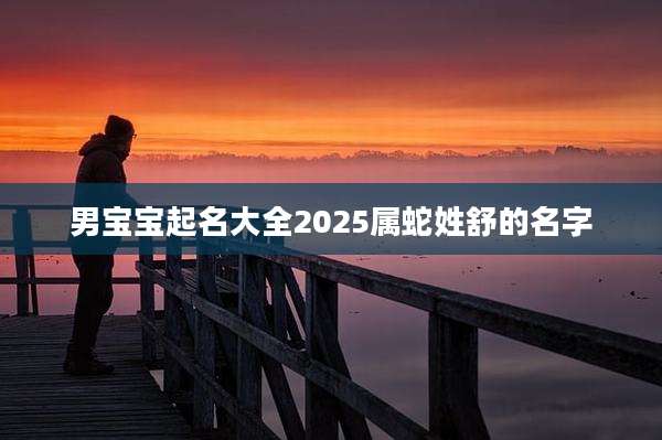 男宝宝起名大全2025属蛇姓舒的名字