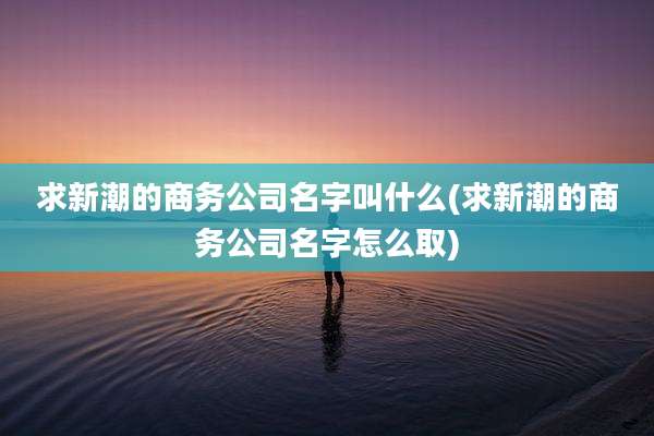 求新潮的商务公司名字叫什么(求新潮的商务公司名字怎么取)