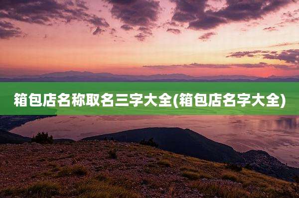 箱包店名称取名三字大全(箱包店名字大全)