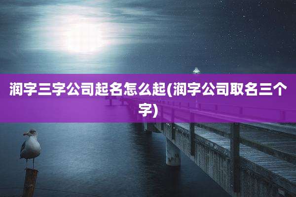 润字三字公司起名怎么起(润字公司取名三个字)