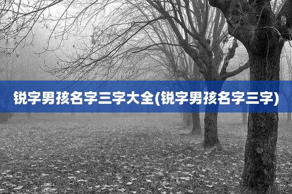 锐字男孩名字三字大全(锐字男孩名字三字)