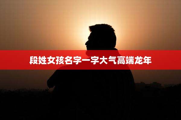 段姓女孩名字一字大气高端龙年