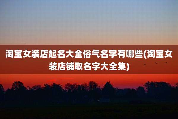 淘宝女装店起名大全俗气名字有哪些(淘宝女装店铺取名字大全集)