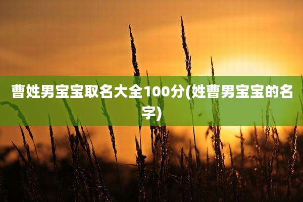 曹姓男宝宝取名大全100分(姓曹男宝宝的名字)
