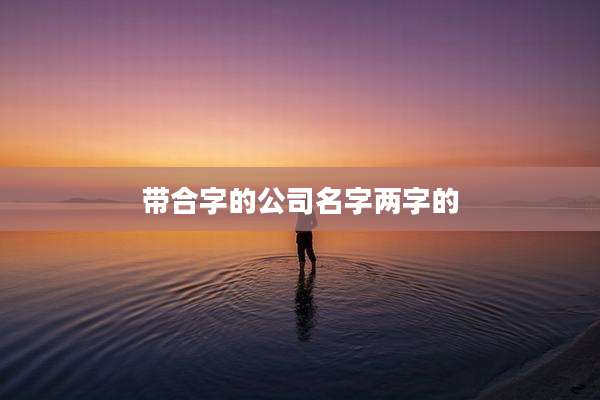 带合字的公司名字两字的