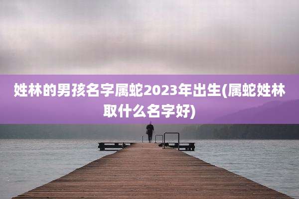 姓林的男孩名字属蛇2023年出生(属蛇姓林取什么名字好)