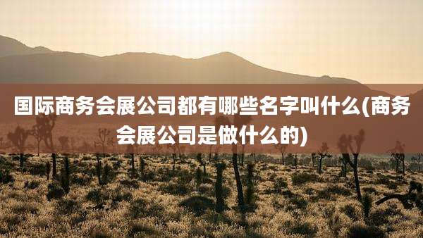 国际商务会展公司都有哪些名字叫什么(商务会展公司是做什么的)