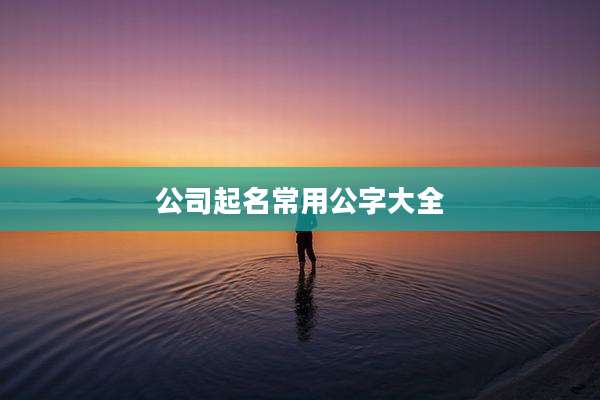 公司起名常用公字大全