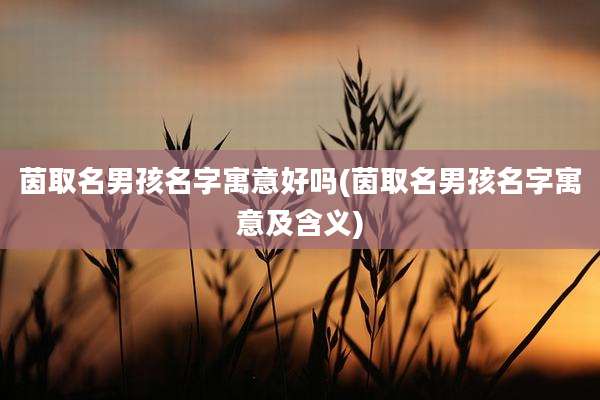 茵取名男孩名字寓意好吗(茵取名男孩名字寓意及含义)