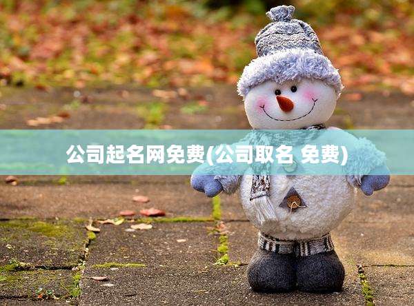 公司起名网免费(公司取名 免费)
