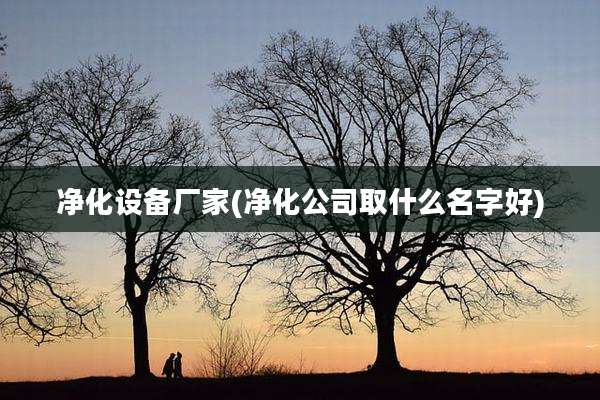 净化设备厂家(净化公司取什么名字好)